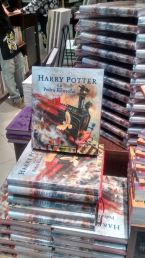 Harry Potter e a Pedra Filosofal