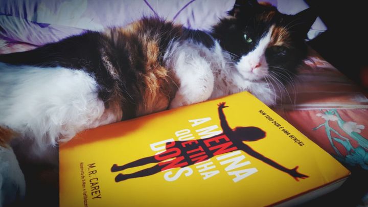 WhatsApp-Image-20160721 (6)