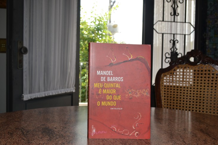 Manoel de Barros 2 - Ricardo Silva