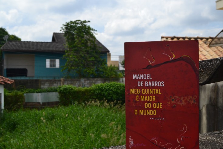 Manoel de Barros 4 - Ricardo Silva